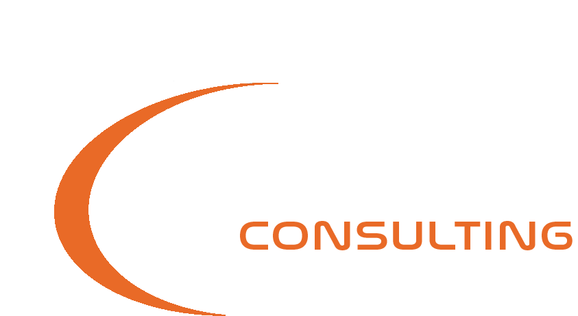 Anvi logo white
